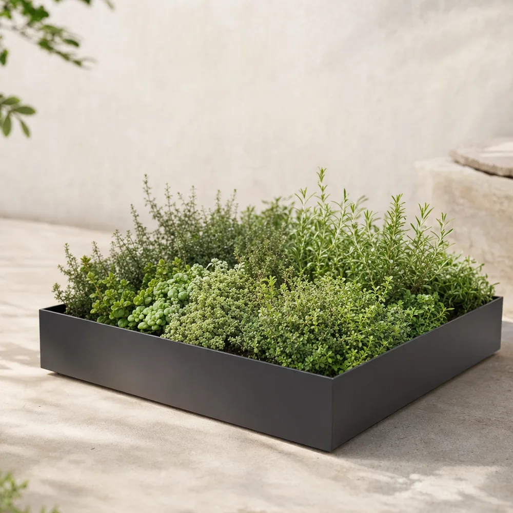 Groendak plantenbak met sedum en kruiden